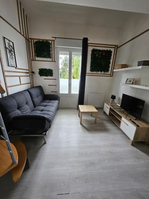 Le Duplex Vercingetorix Proche Paris Et Disney 马恩河畔的尚格尼 外观 照片